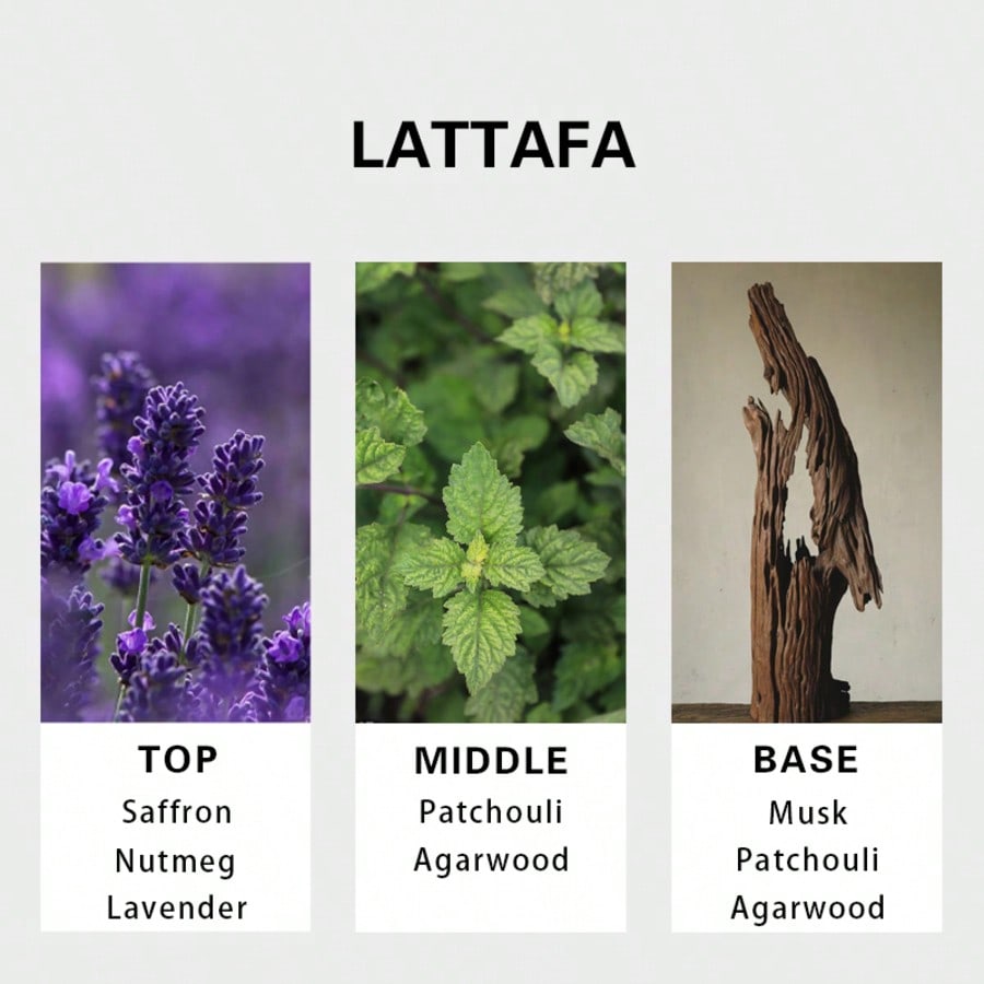 Lattafa Badee Al Oud For Glory - Perfume Fragrance Tous avis et prix