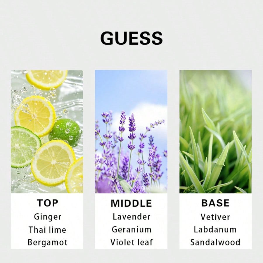 Guess Forever Homme Eau de Toi - Perfume Fragrance Tous avis et prix